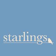 Starlings, Kirkwall Starlings, Kirkwall Logo